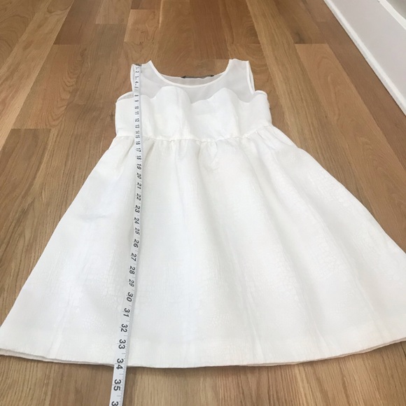 Zara Basic Dress - Picture 8 of 8